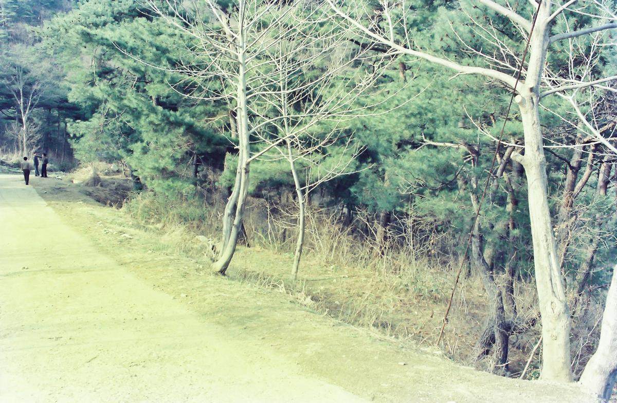 풍경