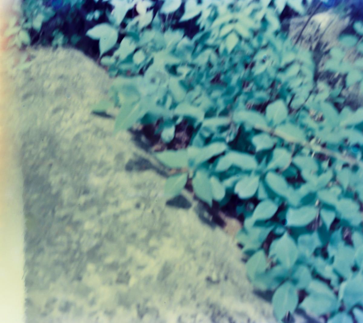 산행