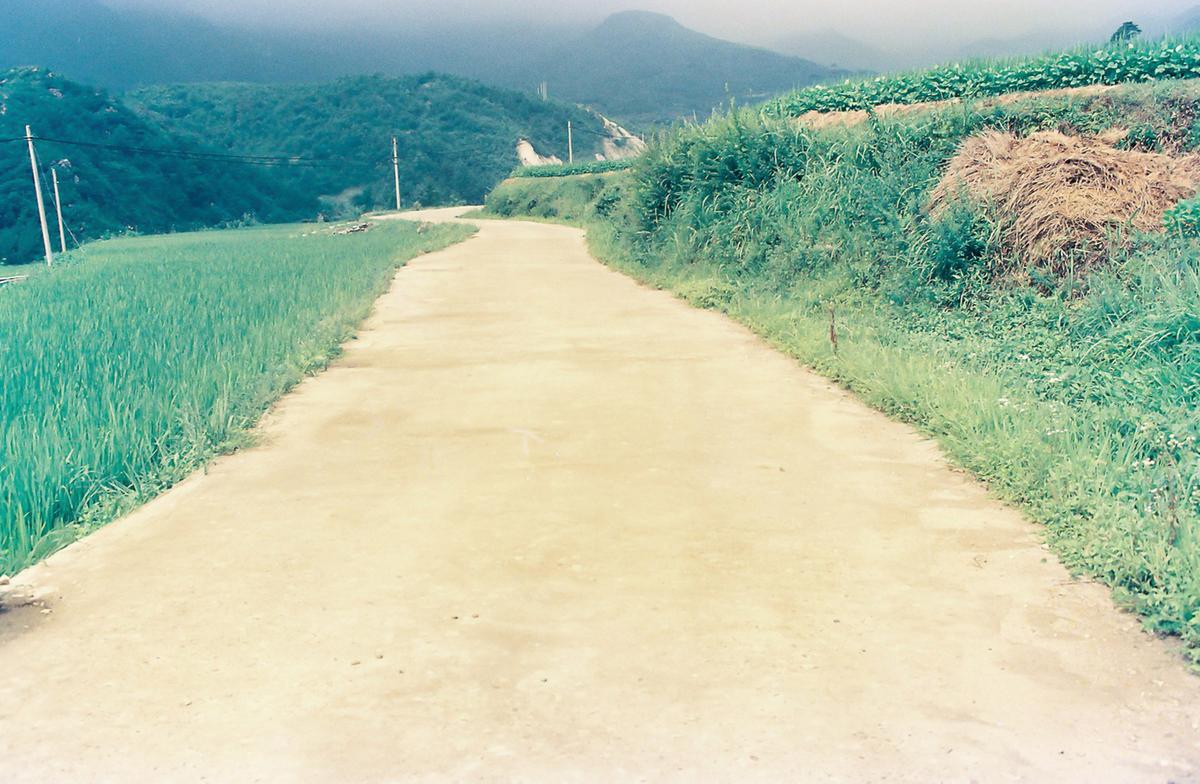 길