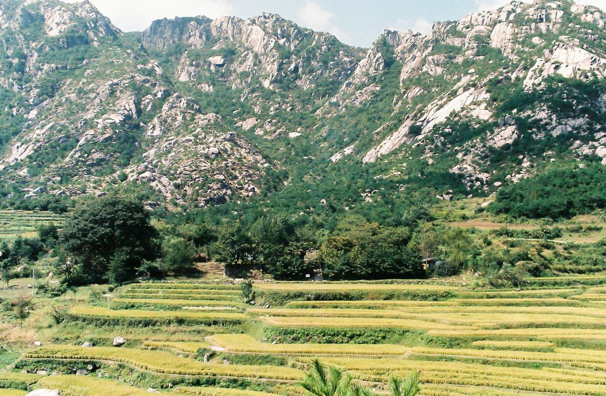 풍경