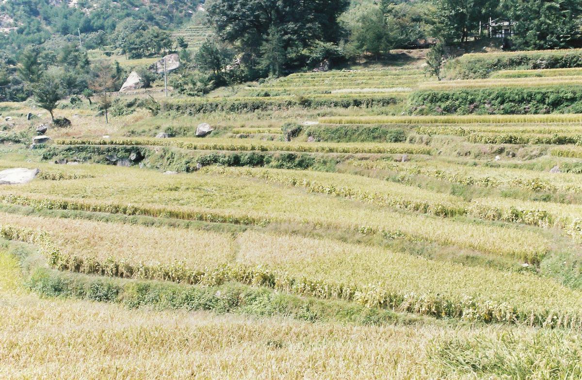 풍경