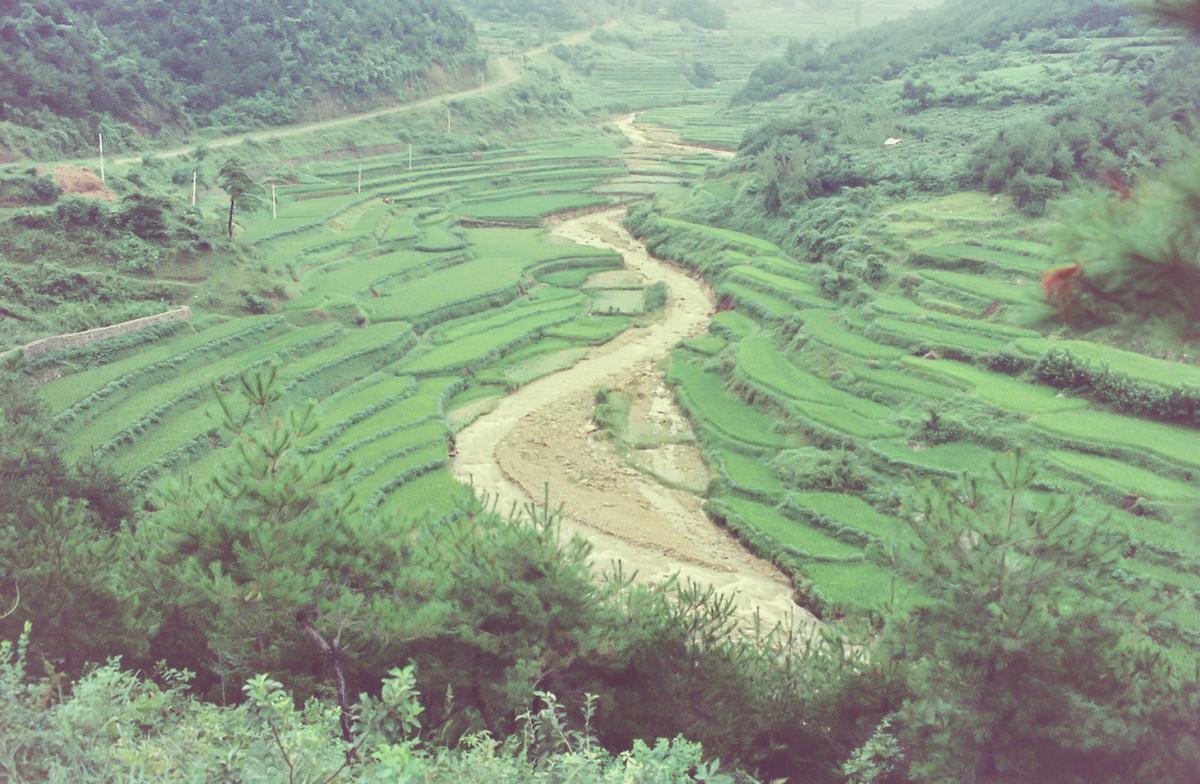 수해현장