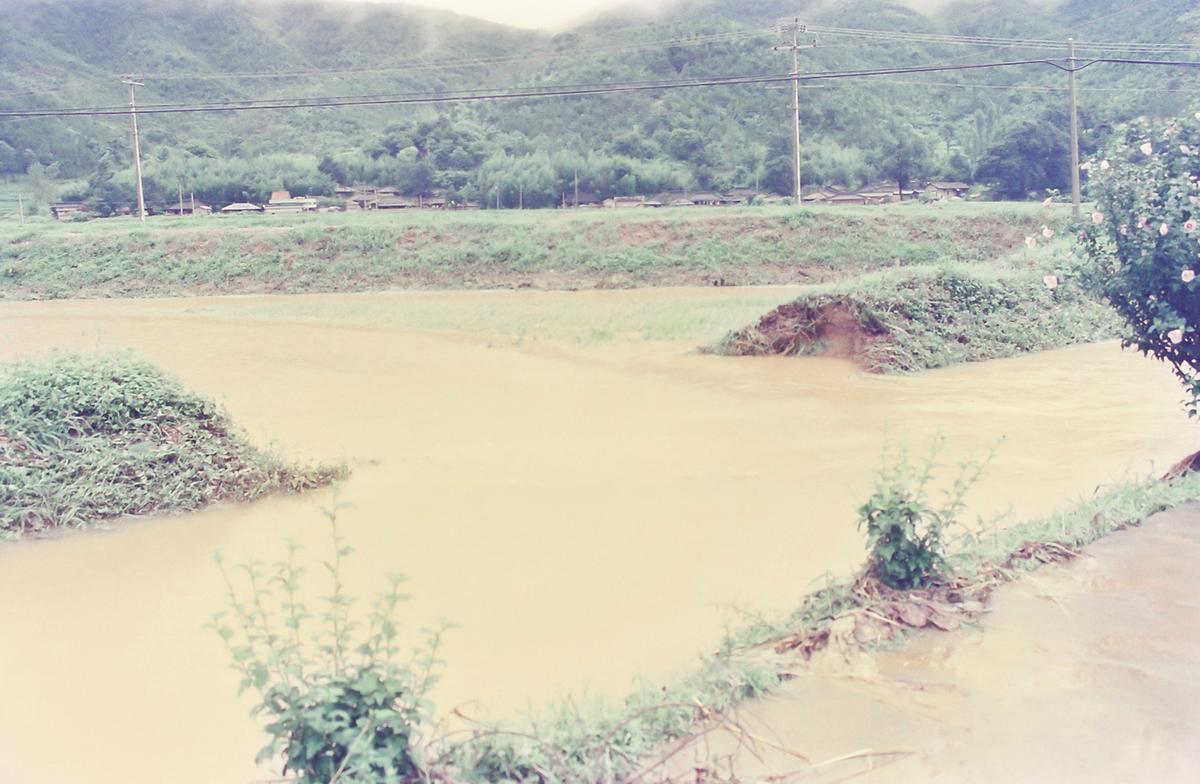 수해현장
