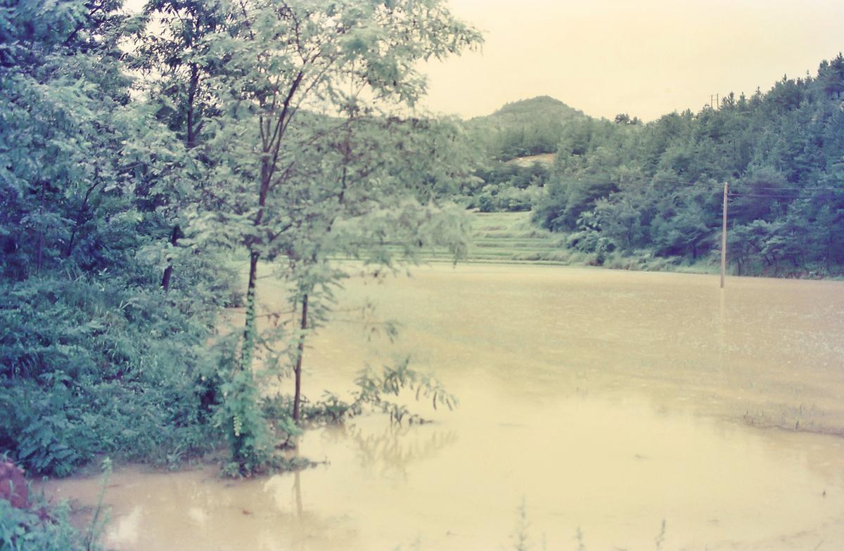 수해현장