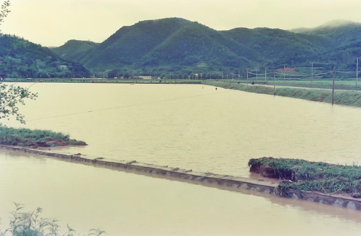 수해현장