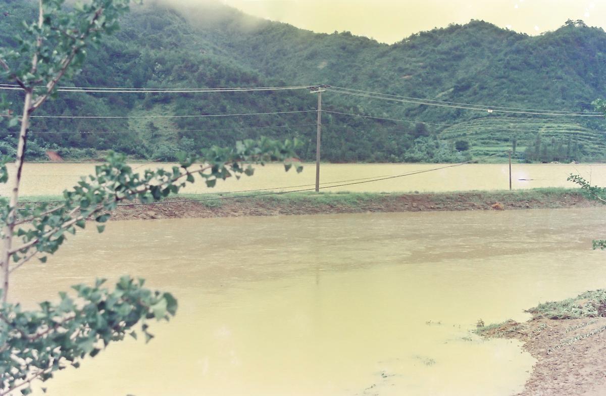 수해현장