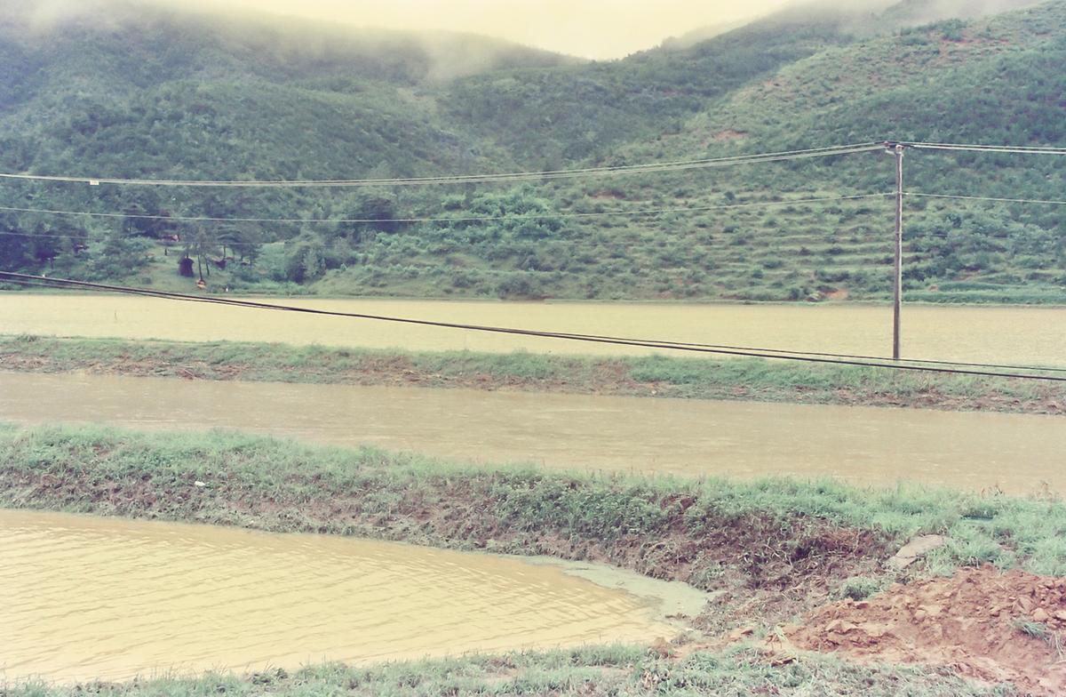 수해현장