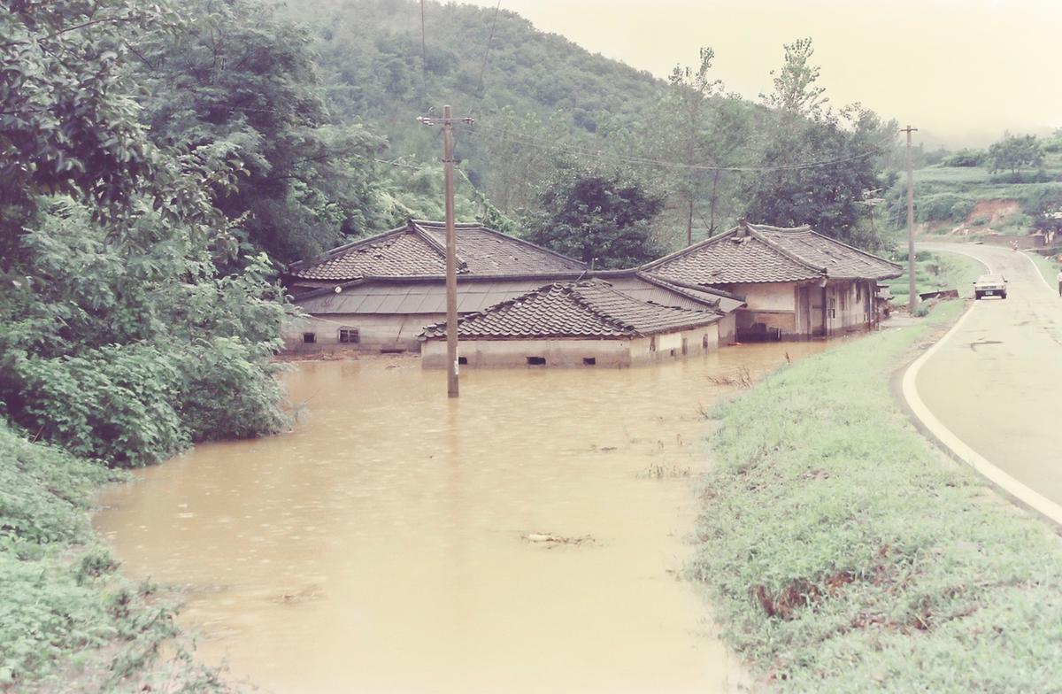 수해