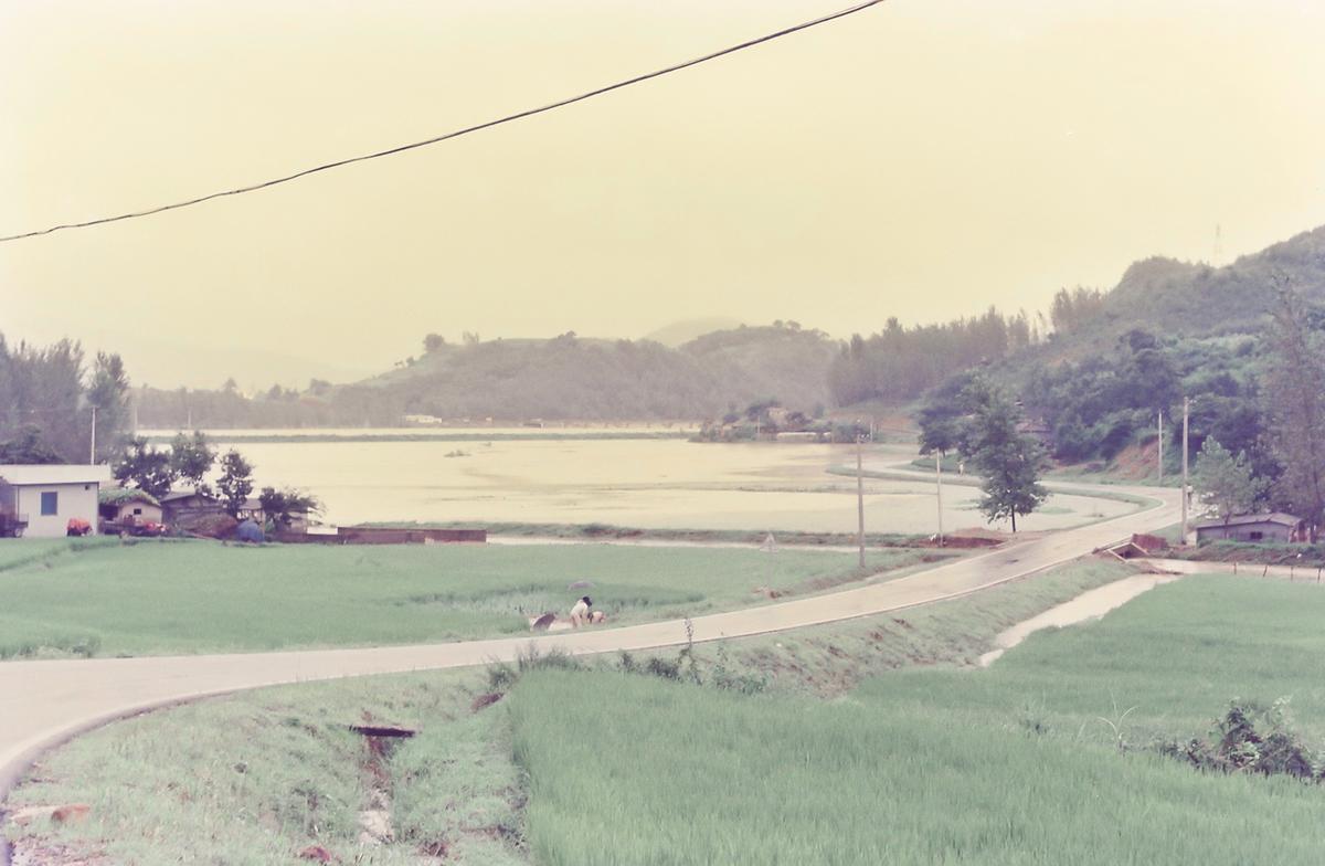 수해