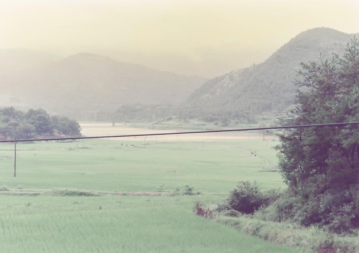 수해