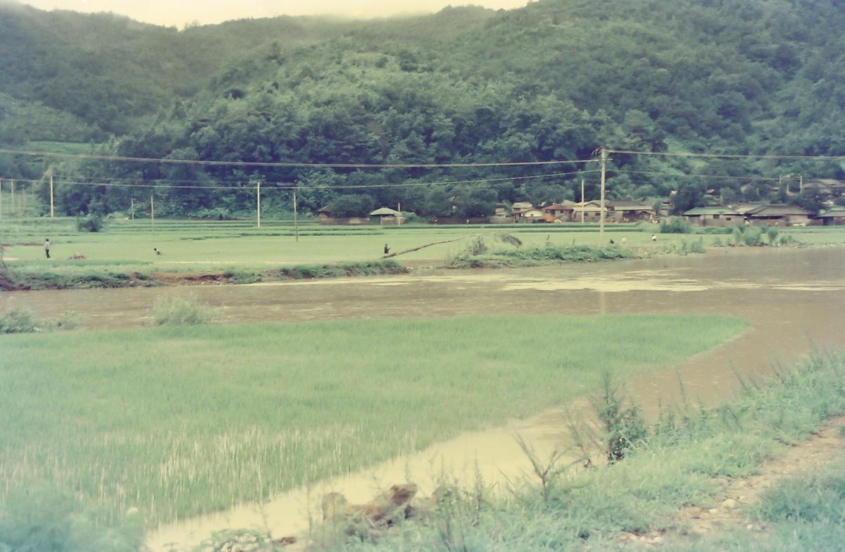 수해