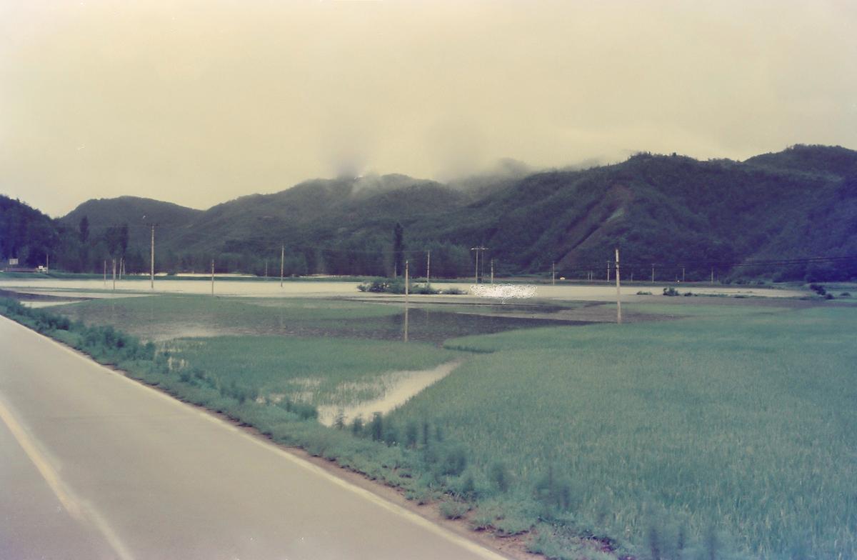 수해