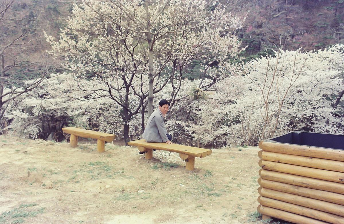 인물