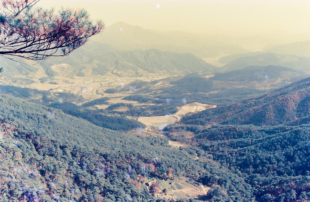 자연보호 캠페인