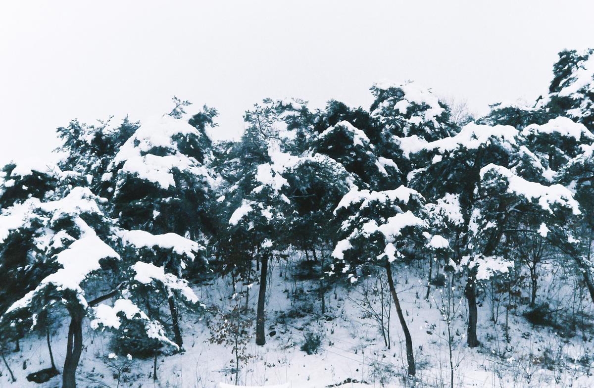 설경