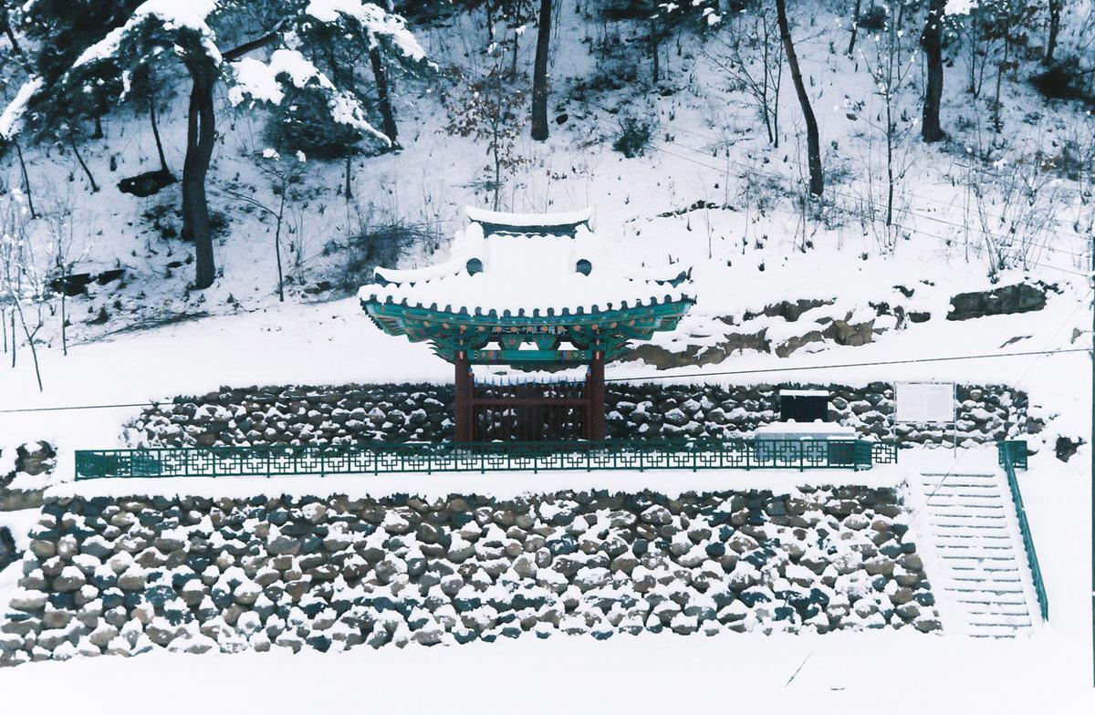 설경