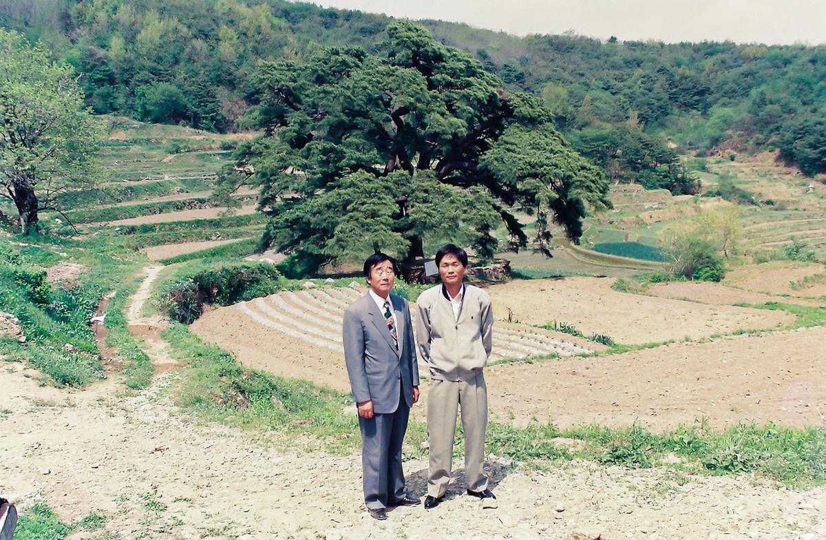 나무
