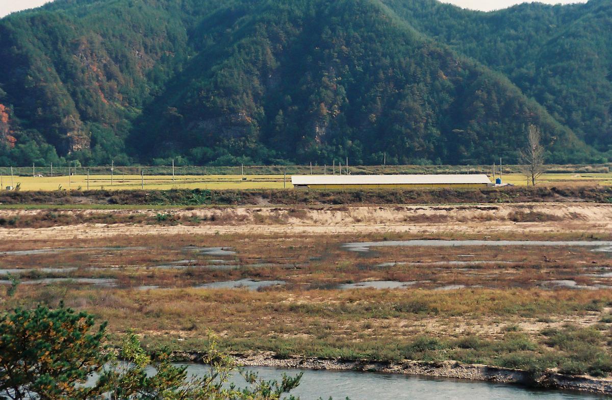 하천