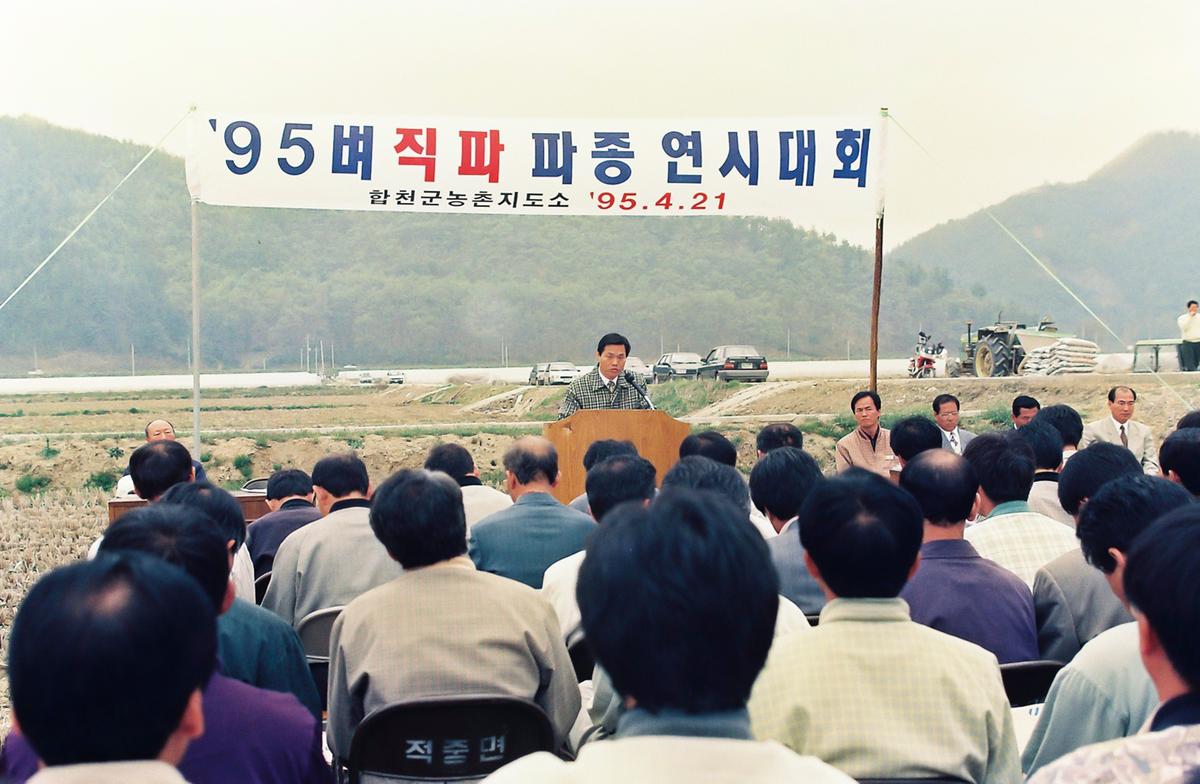 95 벼직파 파종 연시대회