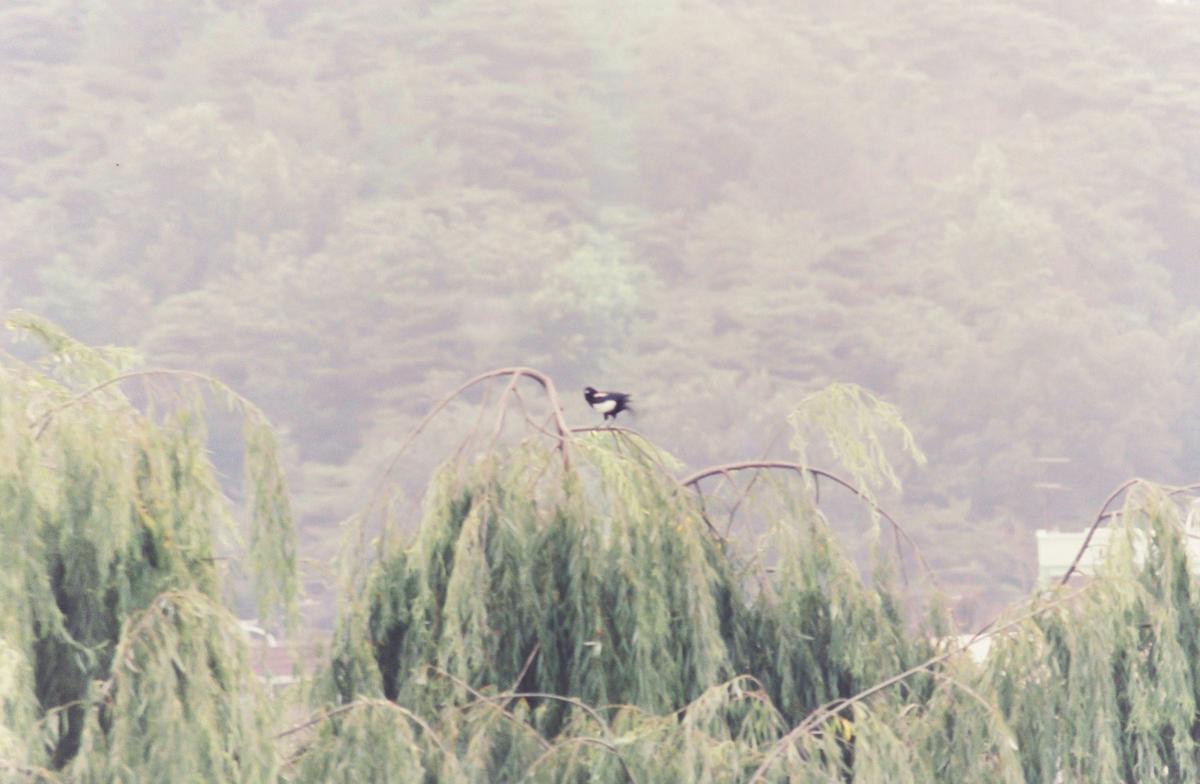 풍경