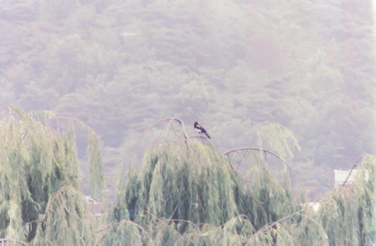 풍경