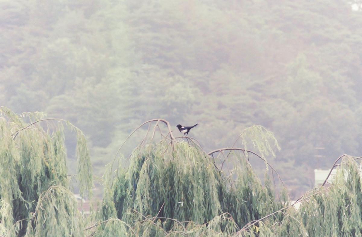 풍경