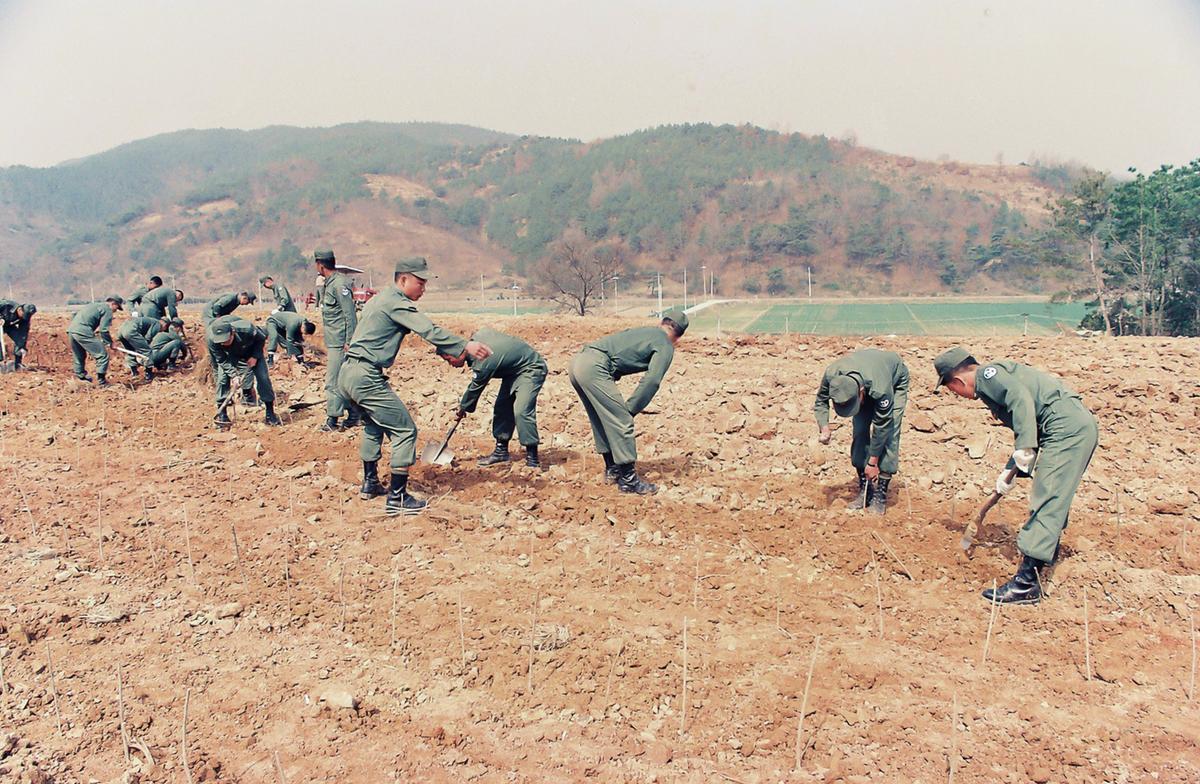 농촌 일손돕기