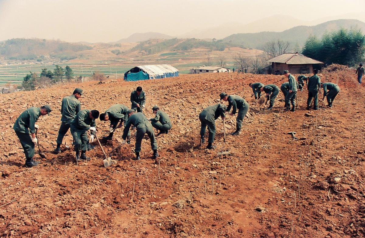 농촌 일손돕기