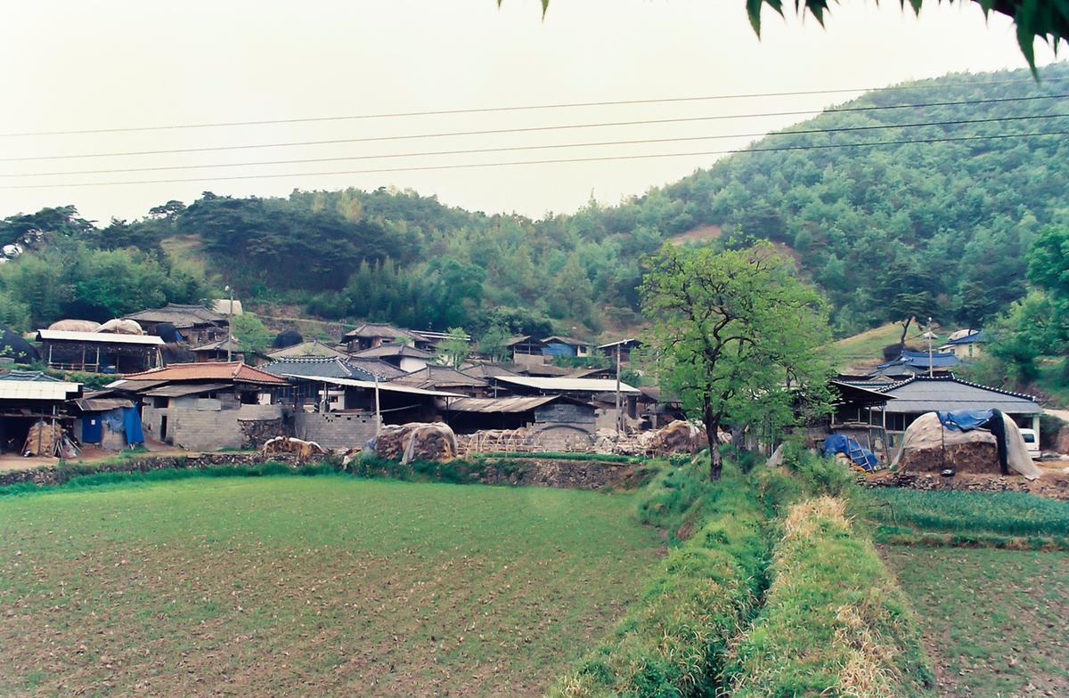 풍경