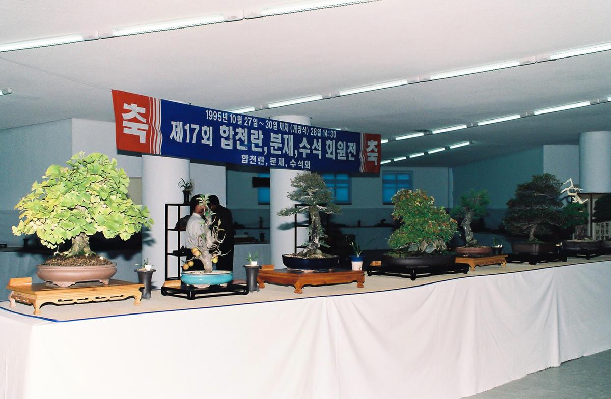 제17회 합천란 분재 수석 회원전