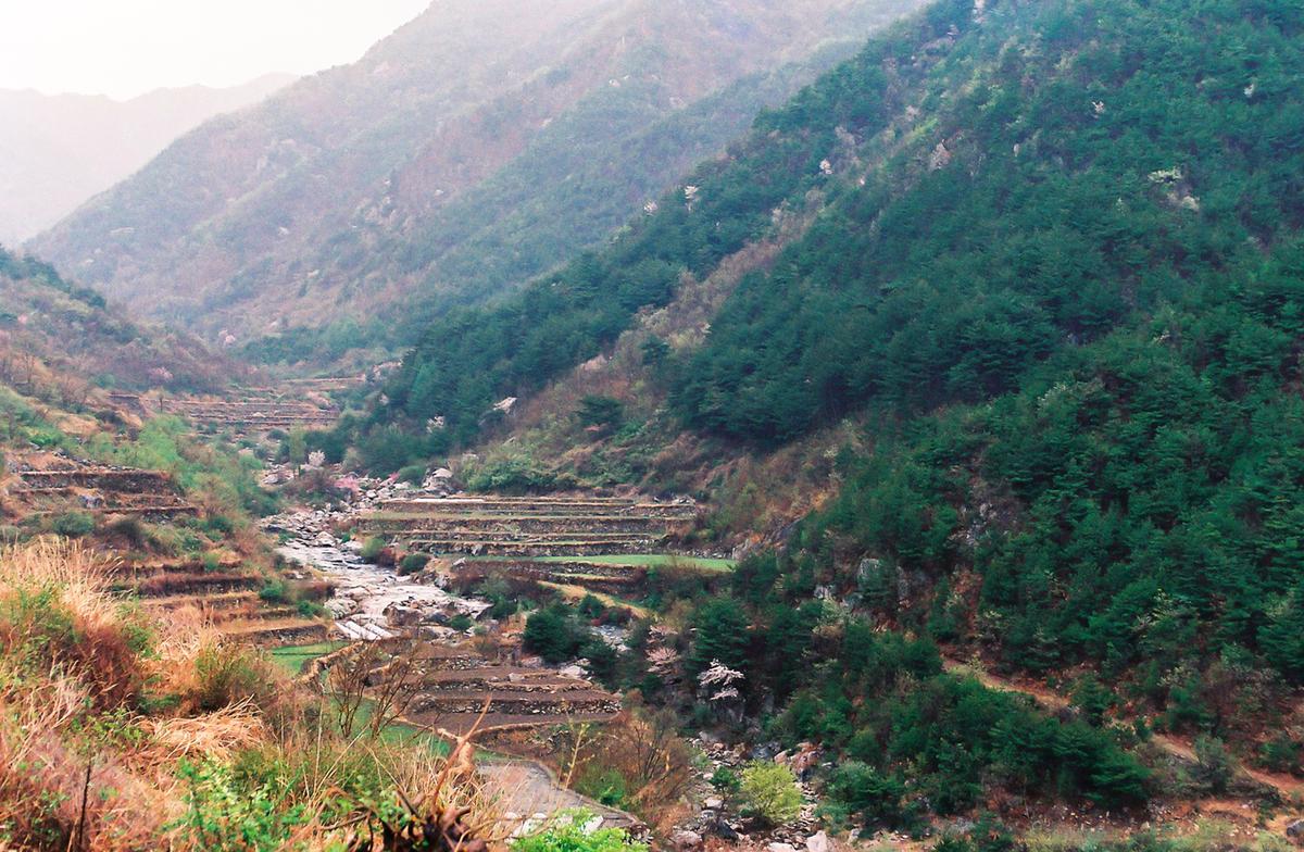 풍경