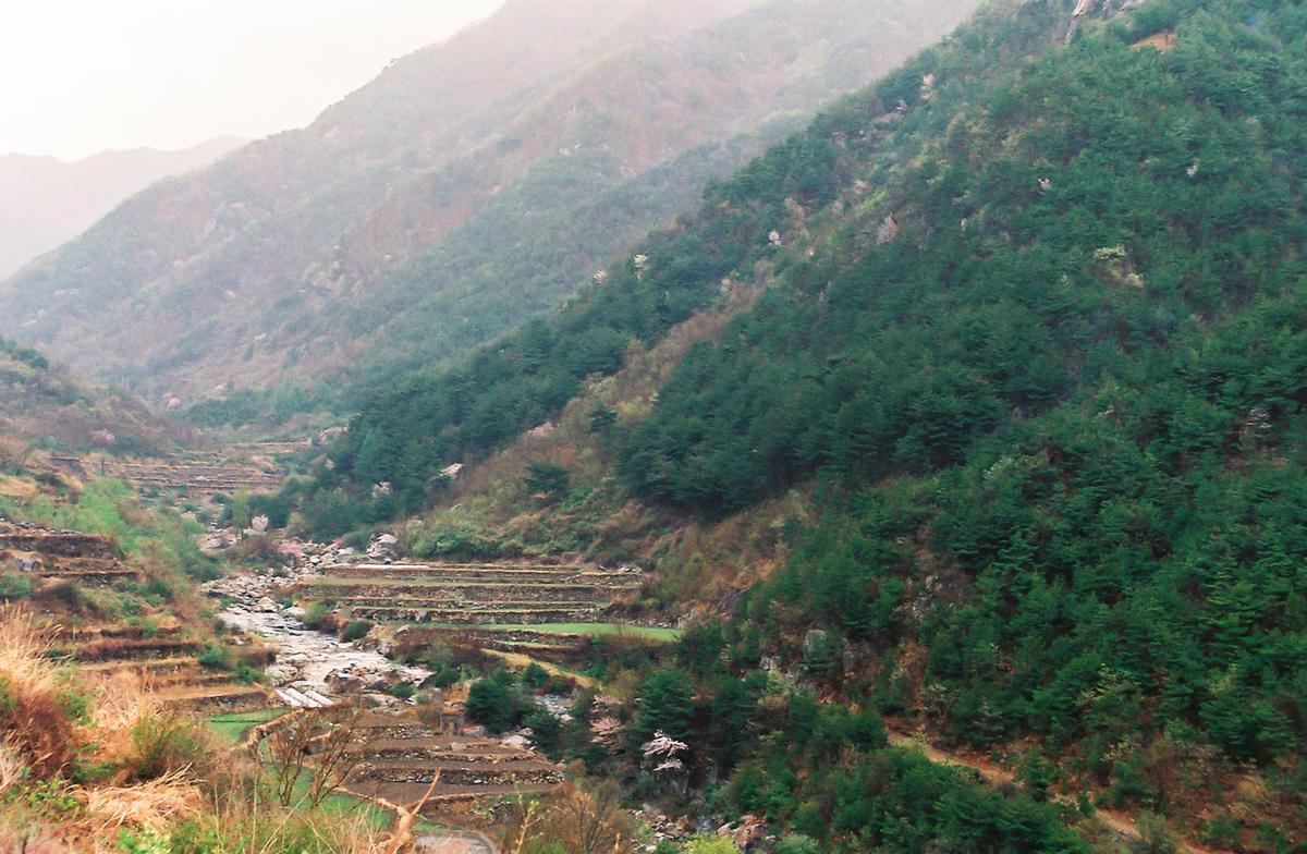 풍경