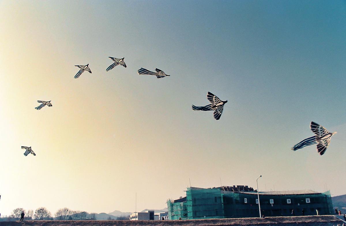 정월대보름맞이 달집놀이 및 연날리기 시연