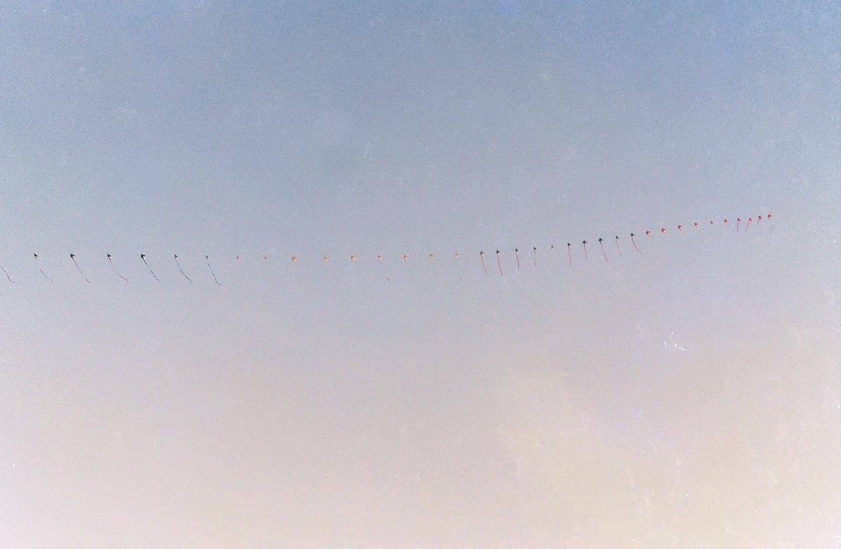 정월대보름맞이 달집놀이 및 연날리기 시연