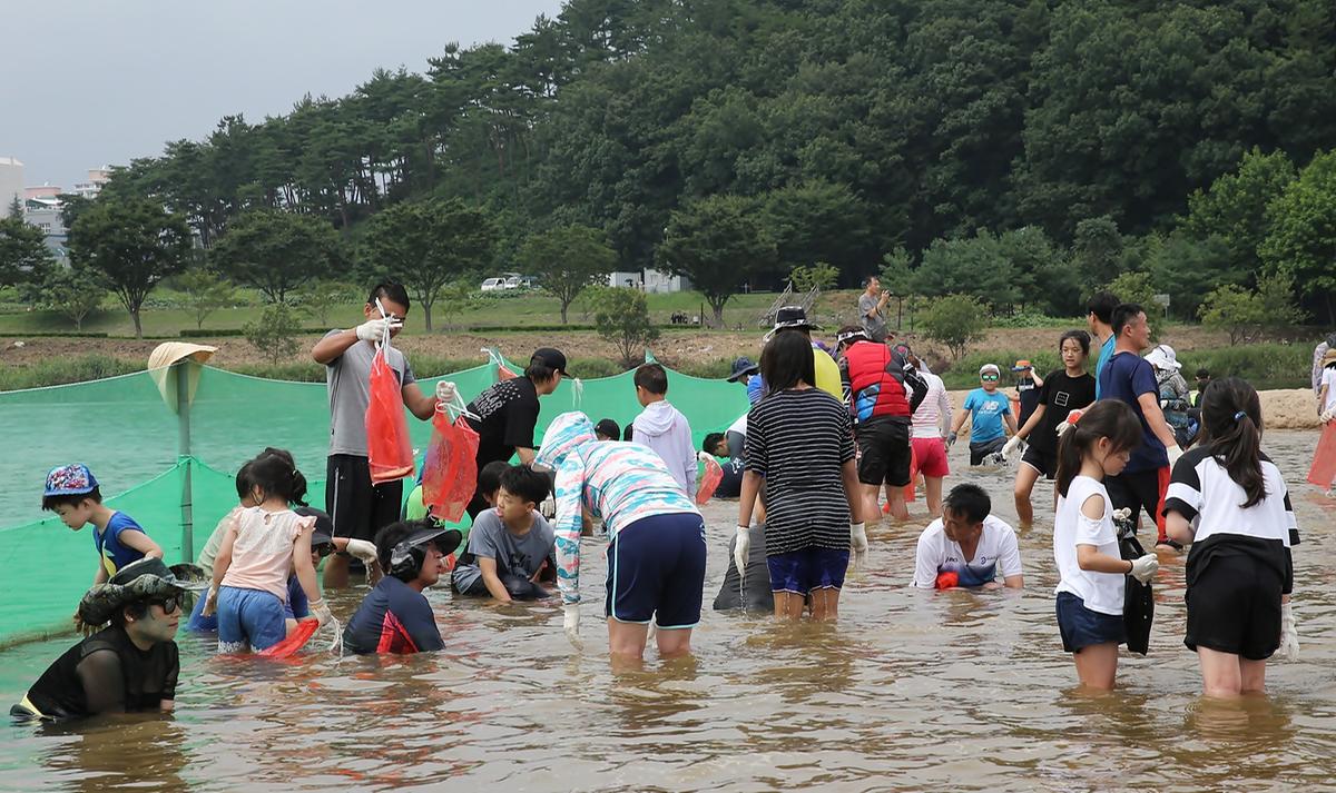 합천여름바캉스축제