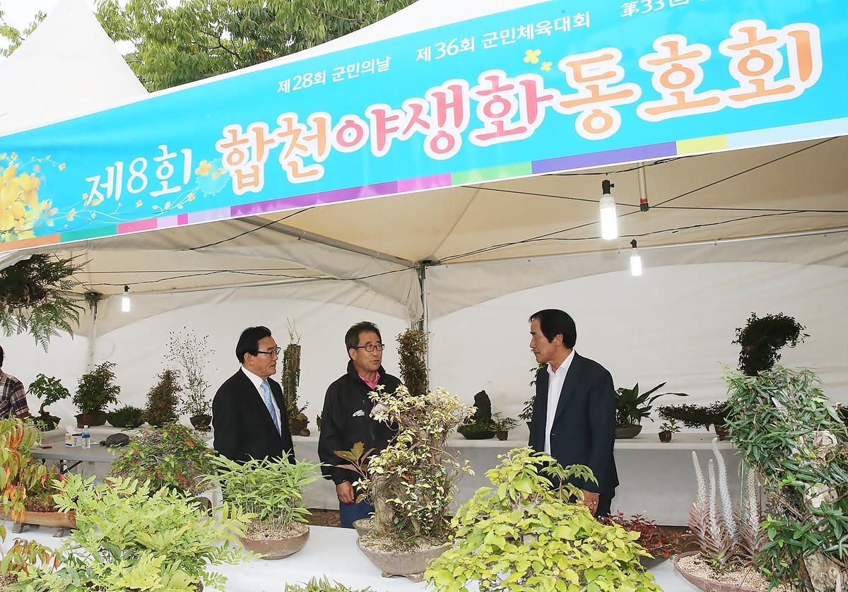 제33회대야문화제점등식