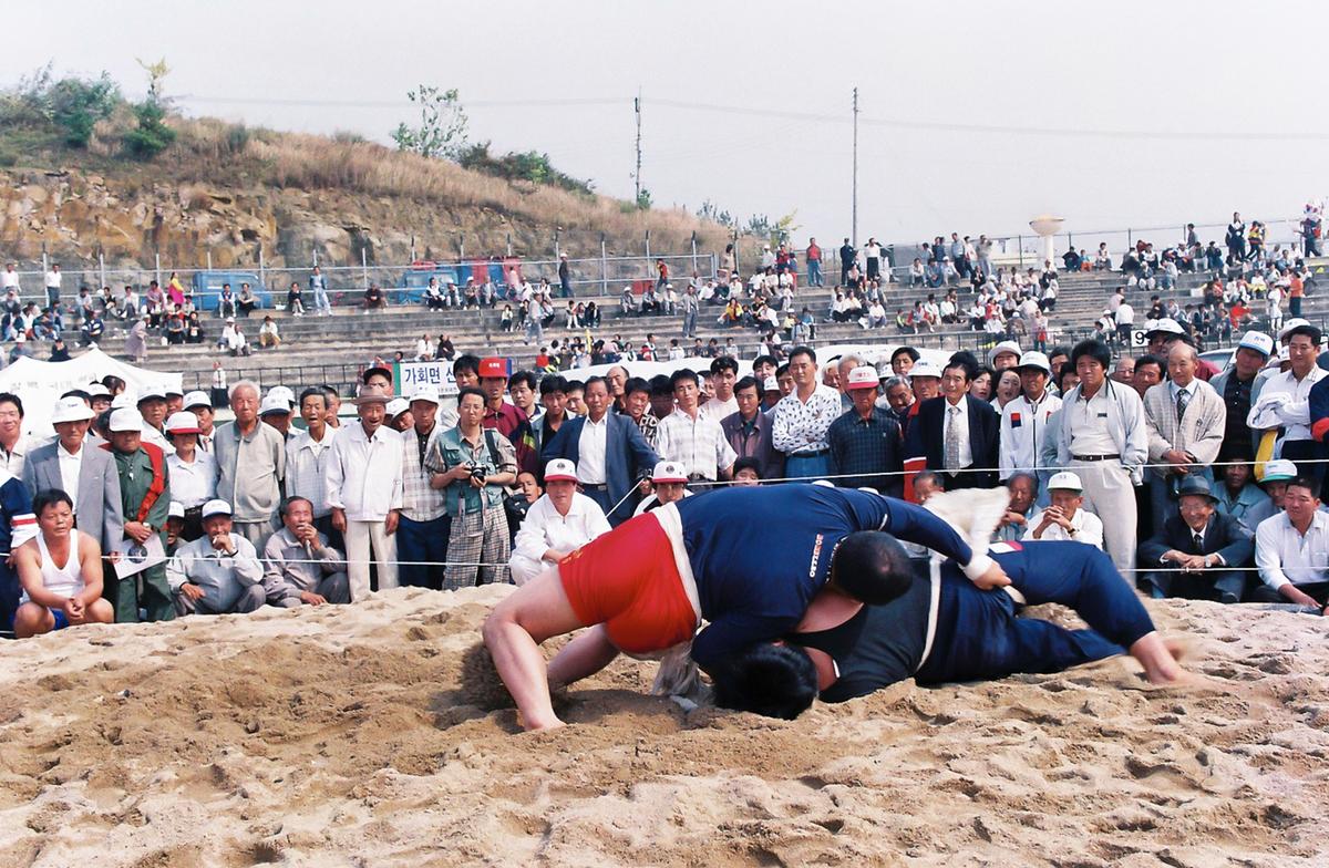제15회 대야문화제