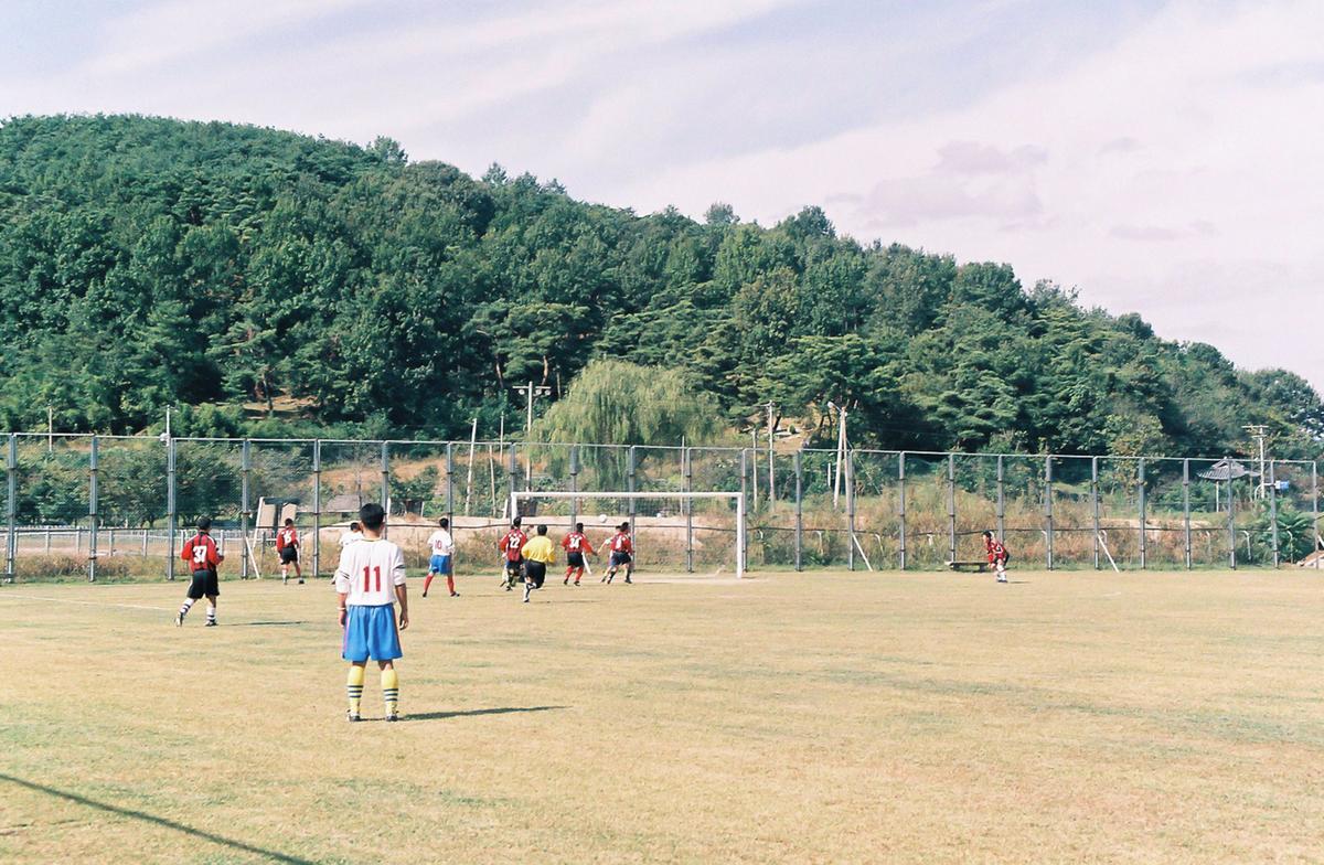 제19회 대야문화제 제21회 군민체육대회