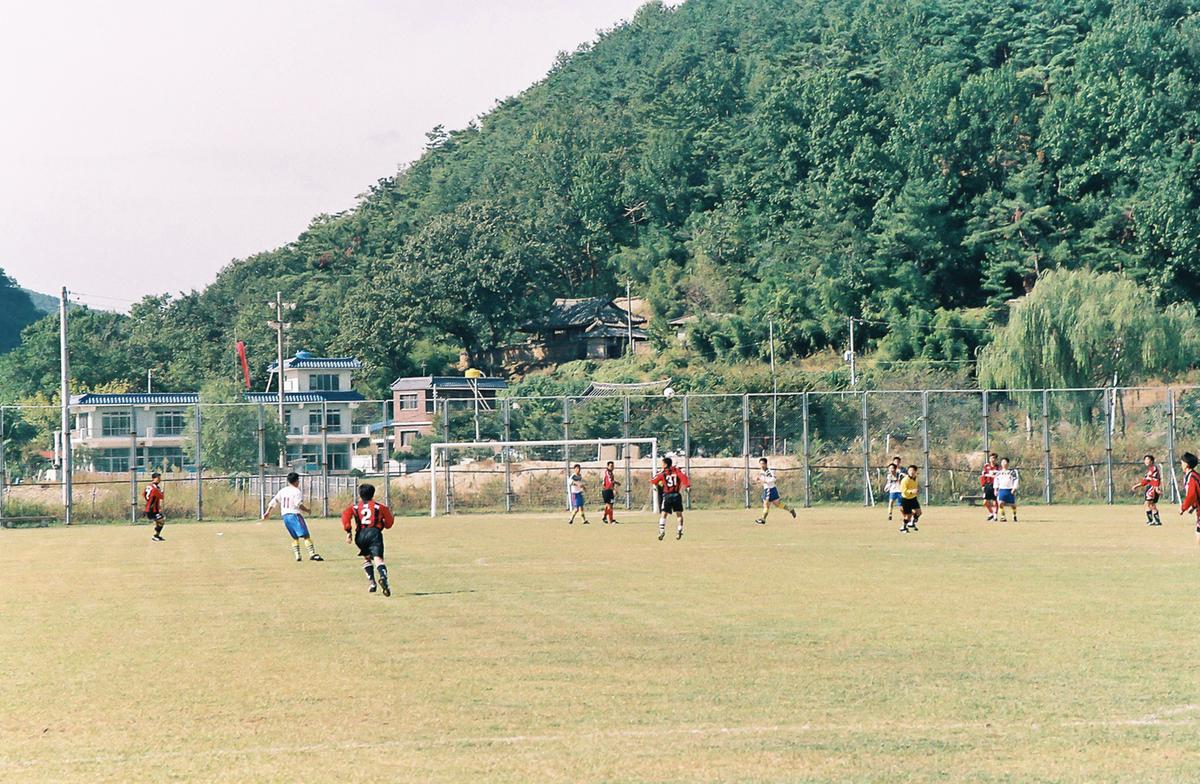 제19회 대야문화제 제21회 군민체육대회