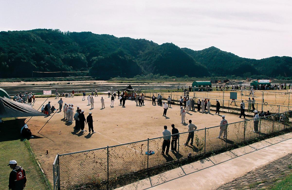 제19회 대야문화제 제21회 군민체육대회