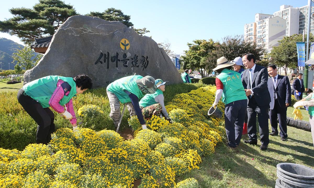 새마을운동합천군지회가을꽃식재