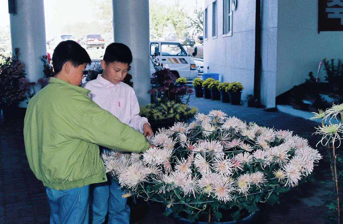 국화 전시회