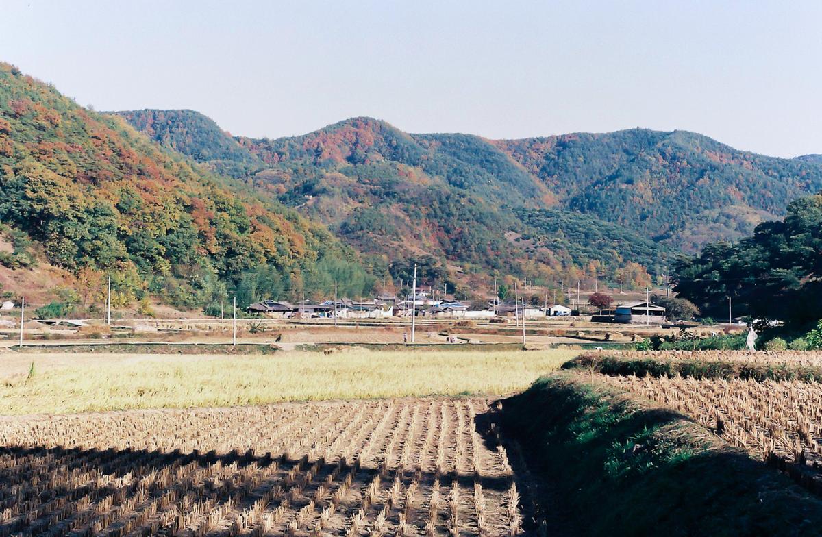 풍경