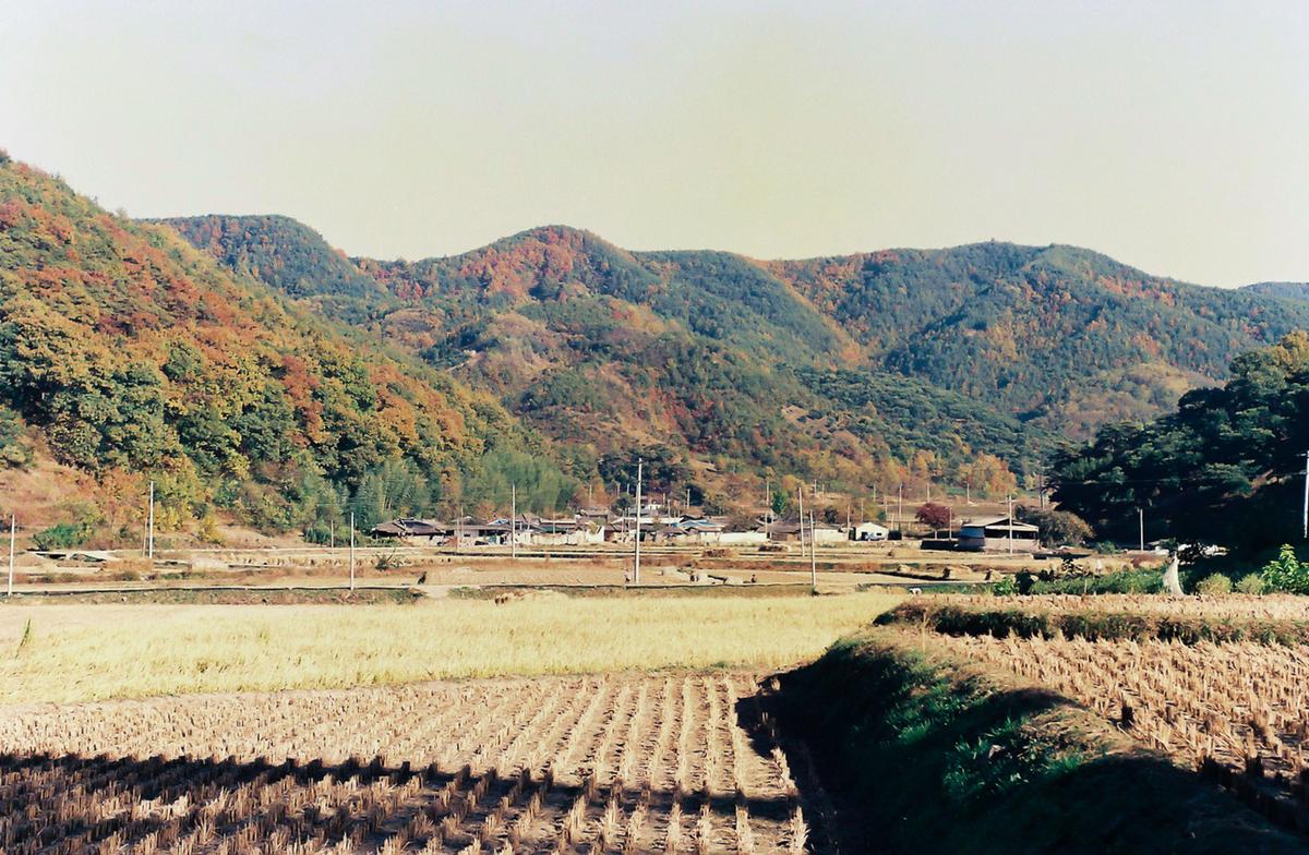 풍경