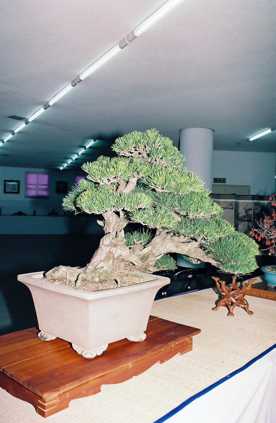 제3회 빛사랑 사진 회원전