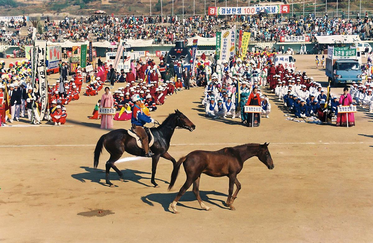 제14회 대야문화제
