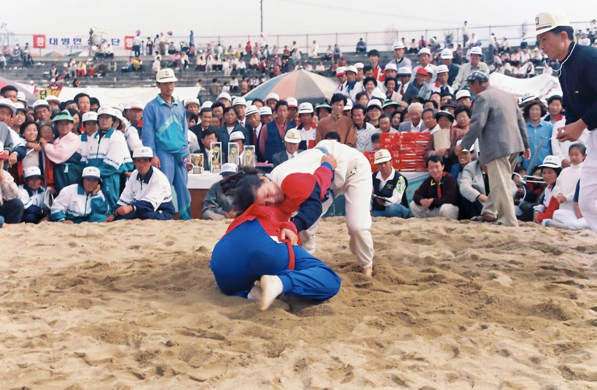 제14회 대야문화제