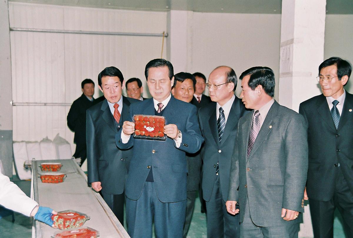딸기공장방문