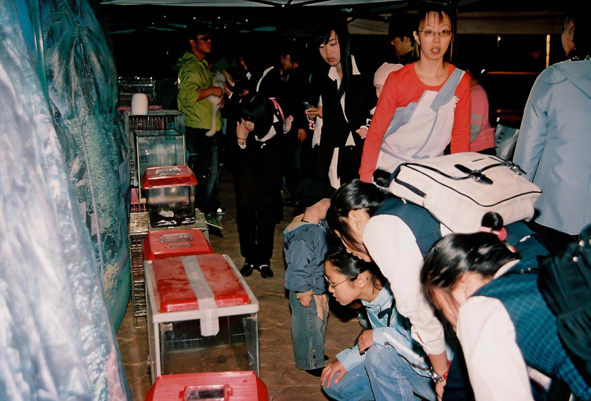 제21회 대야문화제