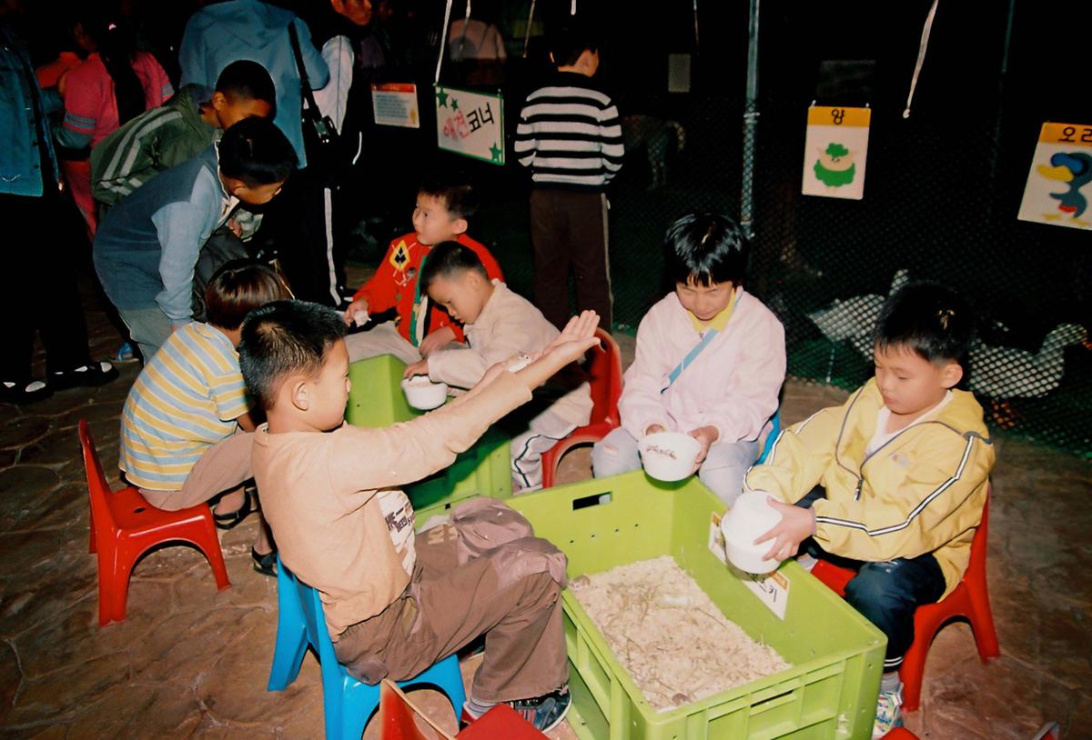 제21회 대야문화제